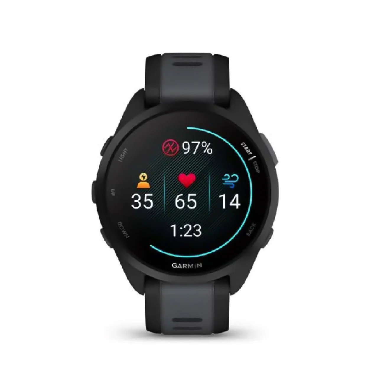 Garmin Forerunner 165 Black/Slate - Image 2