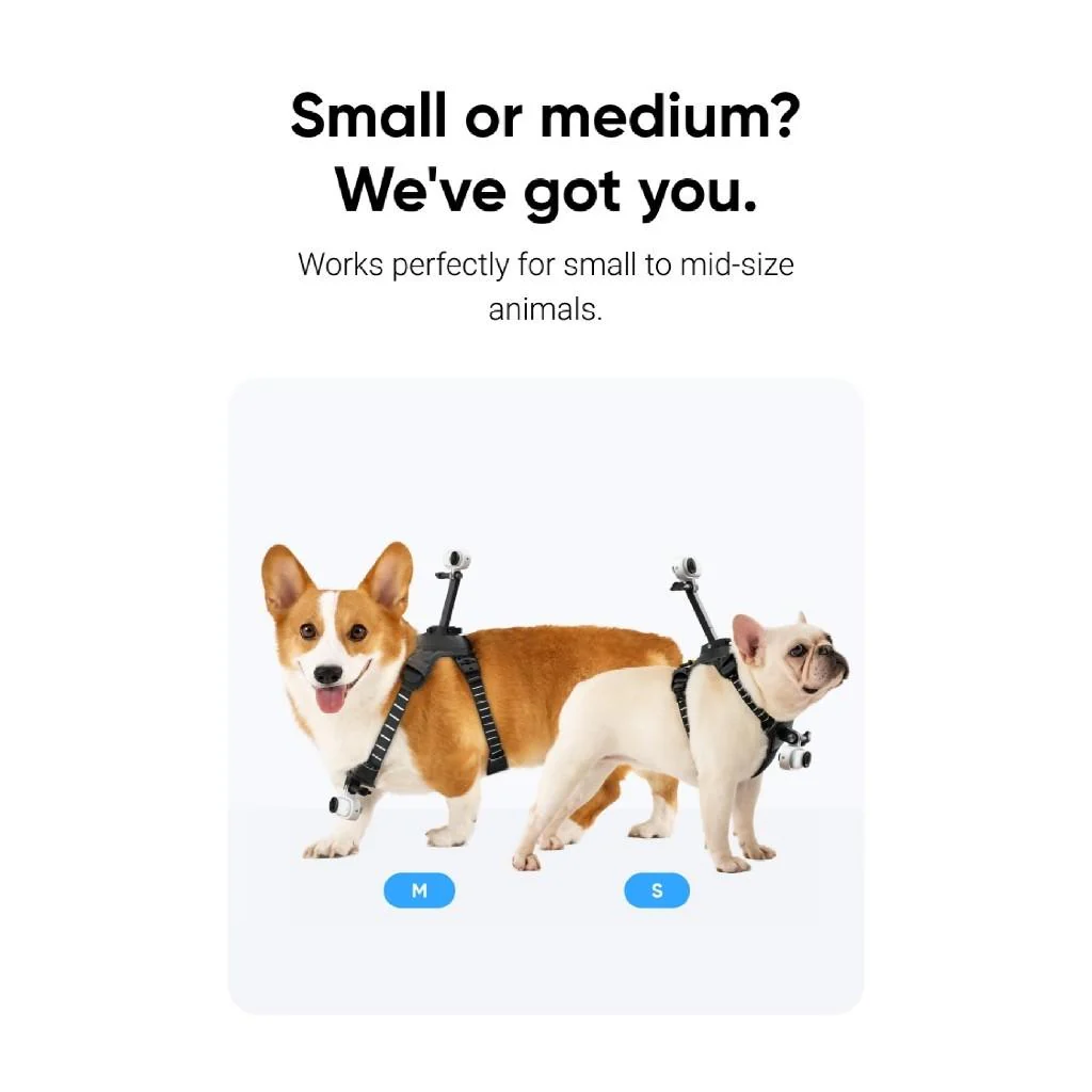 Insta360 GO 3/ GO 3S Pet Harness Mount - Image 2