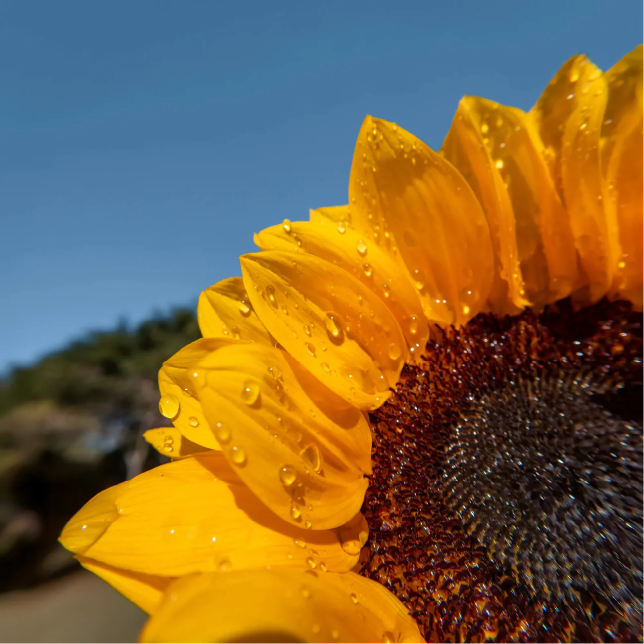 Insta360 GO Ultra Micro Lens Kit - Image 6