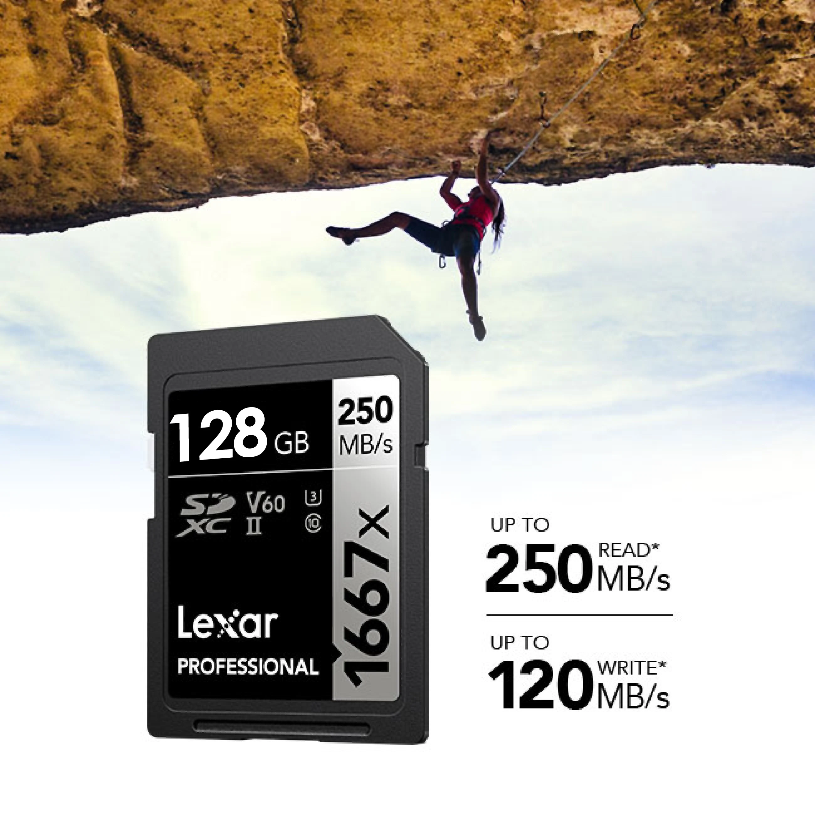Lexar Professional 1667x SD Card - Image 4